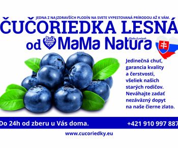 Aktuality / Predaj čučoriedok