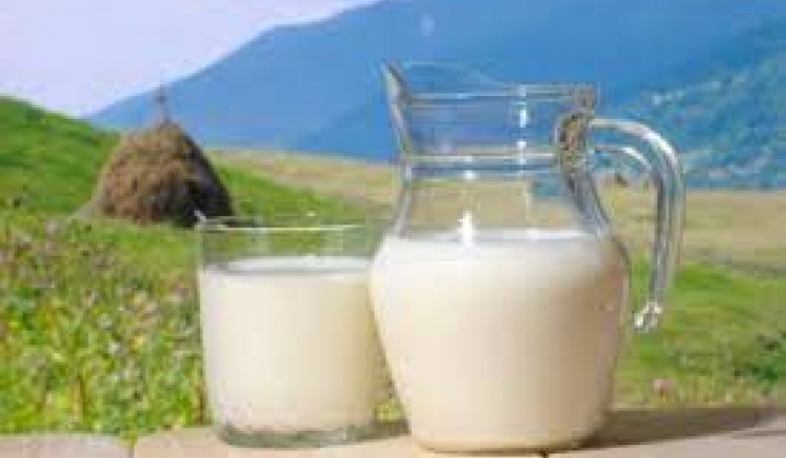 Predaj mlieka a mliečnych výrobkov