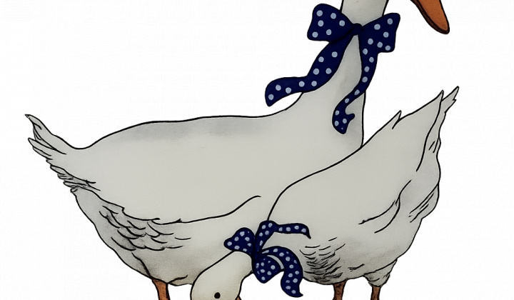 Chov a páračky husí + Krst CD FSk Rakovčan